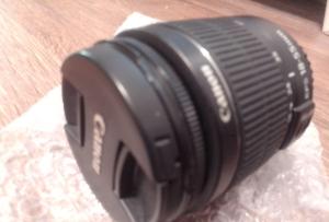 stock