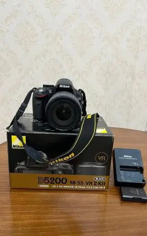 stock