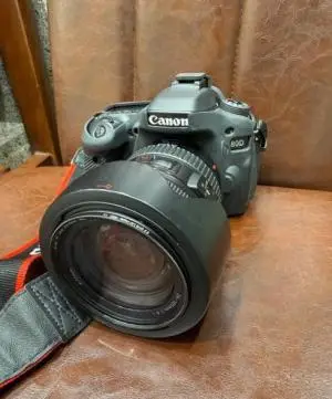 stock