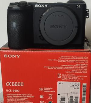 stock
