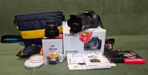 stock