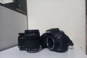stock