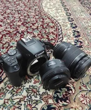 stock
