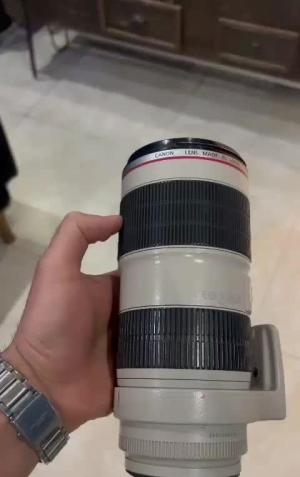 stock