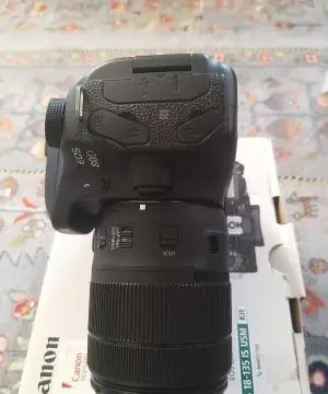 stock