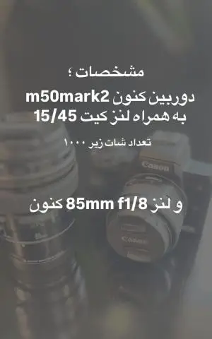 stock