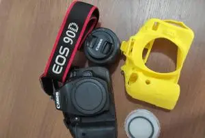 stock
