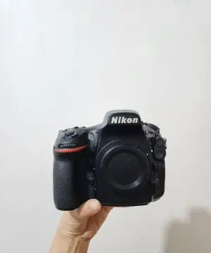stock