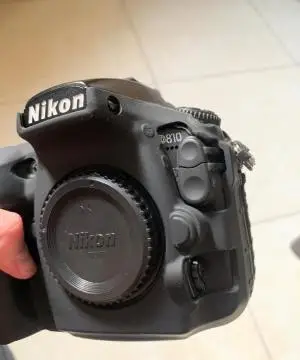 stock