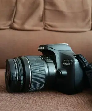 stock