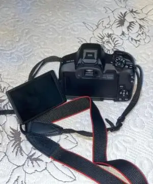 stock