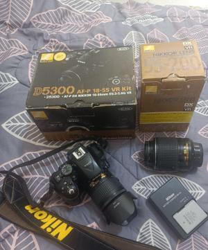 stock