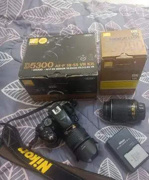 stock