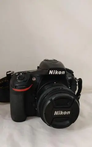 stock