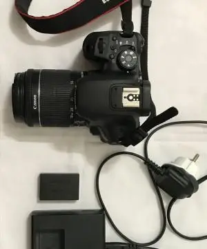 stock