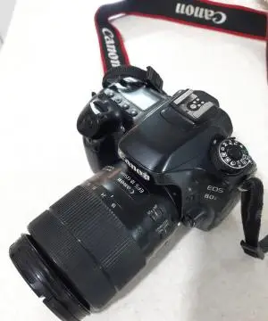 stock