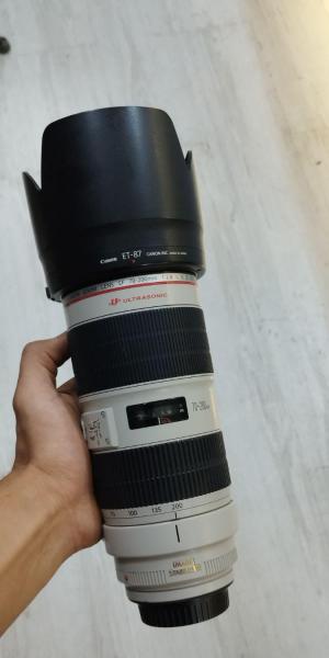 stock