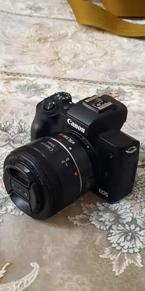 stock