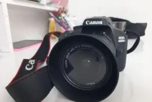 stock