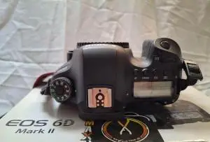 stock