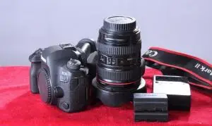 stock