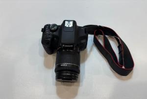 stock