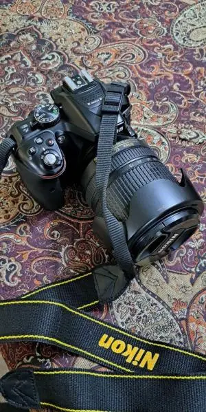 stock