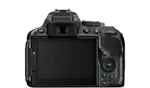 stock