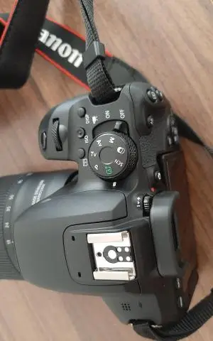 stock