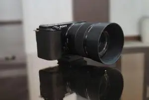 stock