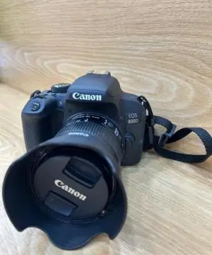 stock
