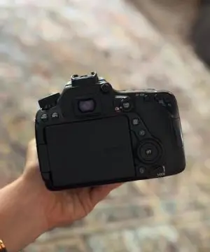 stock