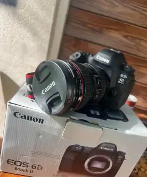 stock
