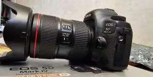stock