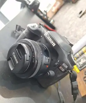 stock