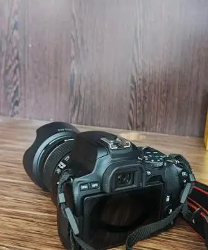 stock