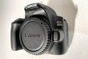 stock