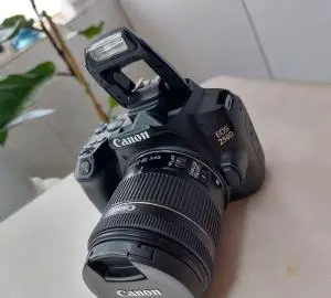 stock