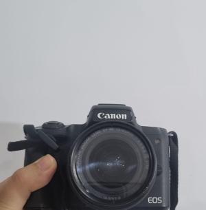 stock