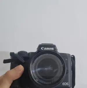 stock