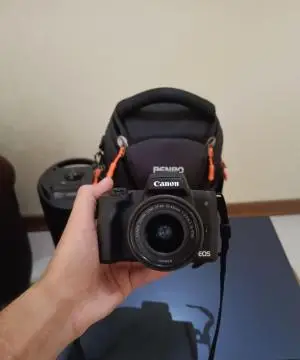 stock