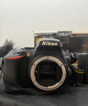 stock