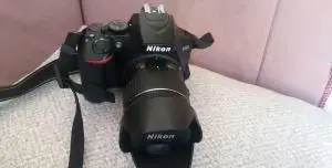 stock