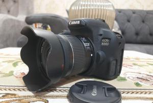stock