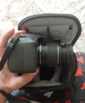 stock