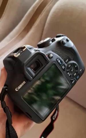 stock