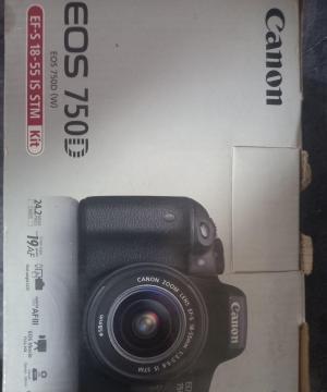stock