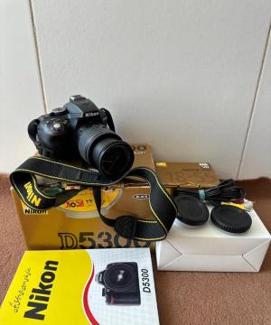 stock
