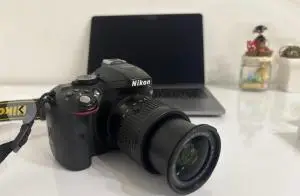stock