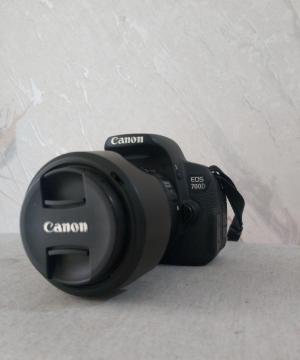 stock